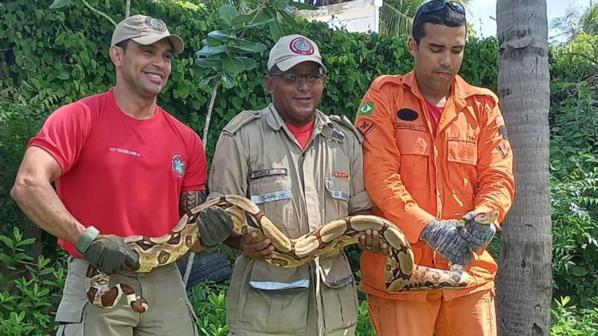 Quase seis mil animais são resgatados no CE em 2026